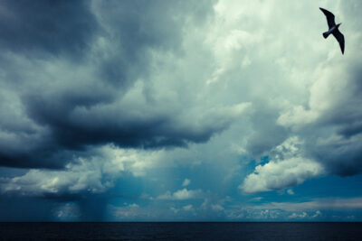 Harry de Zitter Chasing Clouds image #4