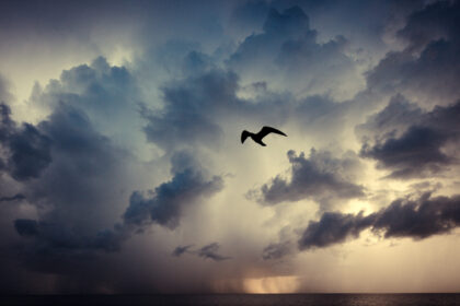 Harry de Zitter Chasing Clouds image #5