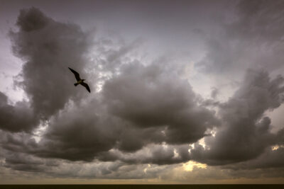 Harry de Zitter Chasing Clouds image #7