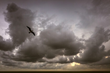 Harry de Zitter Chasing Clouds image #7