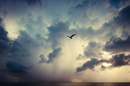 Harry de Zitter Chasing Clouds image #8