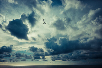 Harry de Zitter Chasing Clouds image #9