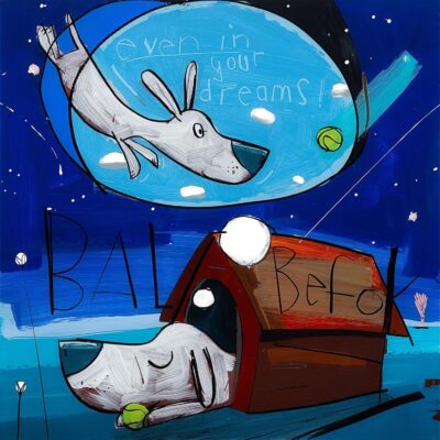 David Kuijers - BB Bal Bevok