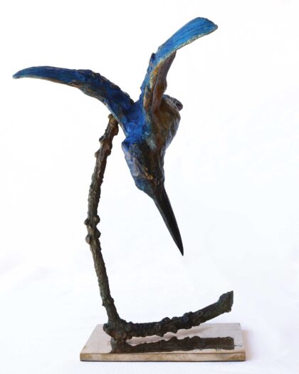 Alastair Barnes 11728 Kingfisher ( Blue ) 1