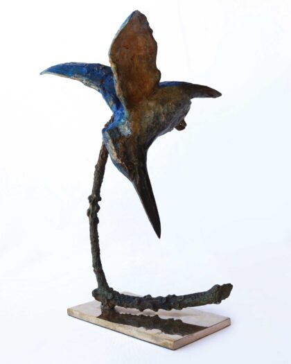 Alastair Barnes 11728 Kingfisher ( Blue ) 2