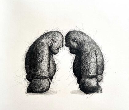 Samuel Allerton & Heike Allerton-Davies Invincible I