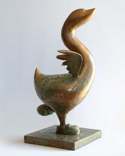 Andrew Hofmeyr bird 2