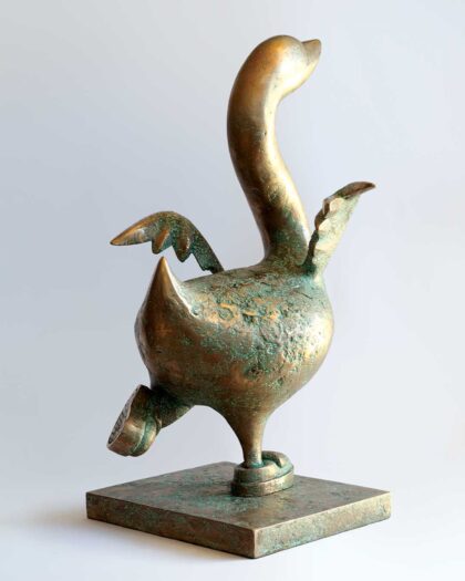 Andrew Hofmeyr bird 3