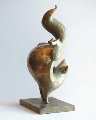 Andrew Hofmeyr standing fox