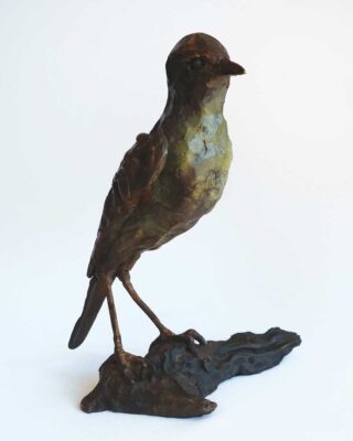 Alastair Barnes - Bird