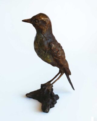 Alastair Barnes - Bird