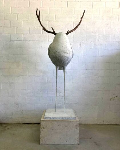 Andrew Hofmeyr - Moosebird