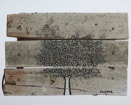 My Old Tree 12029 My Old Tree