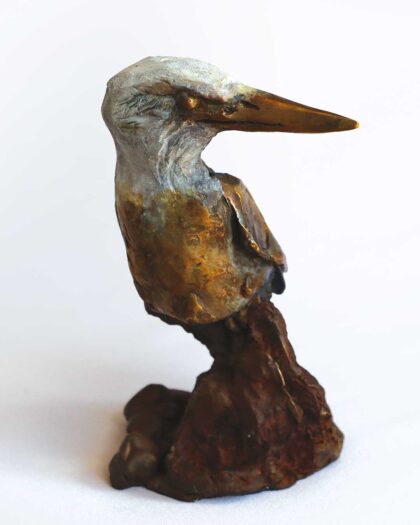 Alastair Barnes 12187 Grey Hooded Kingfisher 2 Alastair Barnes 12187 Grey Hooded Kingfisher 2